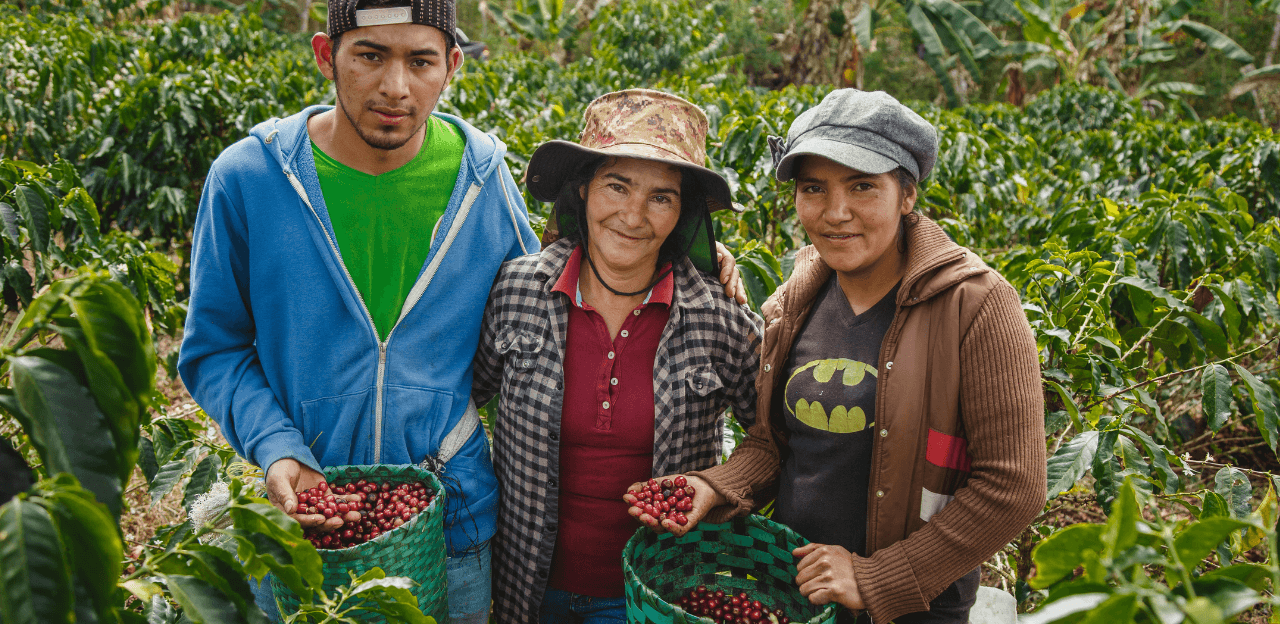Honduras Coffee Growers